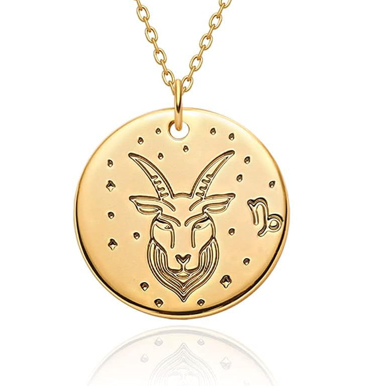 Constellation Disc Coin Necklace 18K Gold Plated Dainty 12 Constellation Personalized Pendant Necklace Gifts